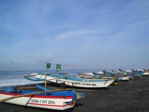 pantai trisik